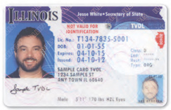 Illinois Driver's License for Illegal Aliens